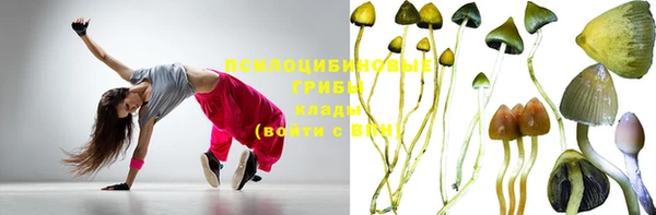 шишки Алзамай