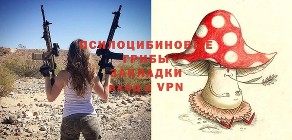 метадон Алексин